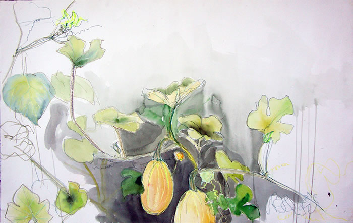 watercolor, Garden Study  by Cara Enteles