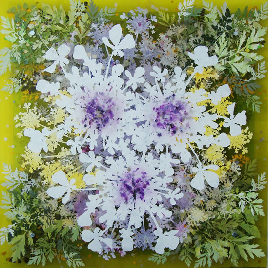 painting, Queen Anne's Lace by Cara Enteles
